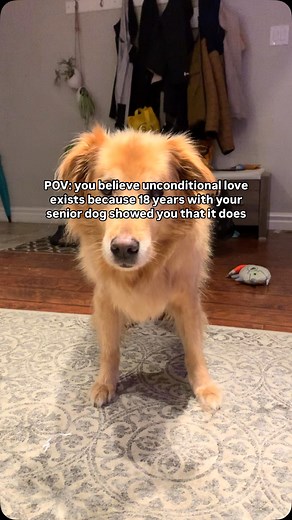 18K views · 656 reactions | Love isn’t just romantic!!! If you’ve...