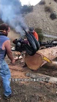 Installing a V8 sports car engine on a chainsaw With this step on the gas the trees we