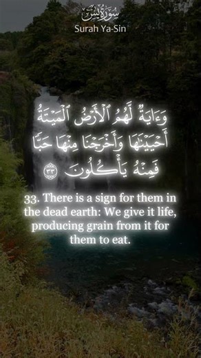 Memorize Surah Yaseen: Ayats 33–35 📖✨ #Quran #Hifz #SurahYaseen