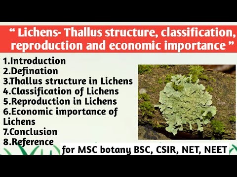 Lichens | Thallus structure | Classification | Reproduction | Economic importance