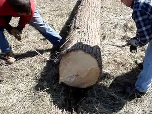 JW Logging Grab Hook Demo