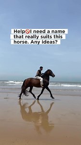 1.9K views · 31 reactions | Rate his riding skills from 1 to 10 #horse #horses #horsesofinstagram #equestrian #horseriding #equine #pony #pferd #equestrianlife #horselove #dressage #horselover | Oussama_horserider | Facebook