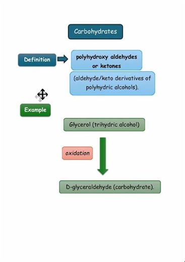 Carbohydrates Definition, Explained! #shorts #medicalbiochemistry