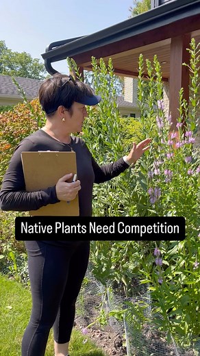 22K views · 1.1K reactions | Lots of native plants get leggy and tall...