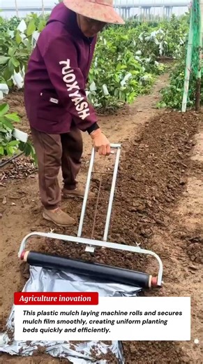 Genius Mulch Laying Tool 🔥 | Perfect Plastic Film Installation for Farming! 🌱🚜