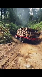 27K views · 610 reactions | Así se maneja un Torton en la sierra | Sierra Madre Camiónes troceros | Facebook