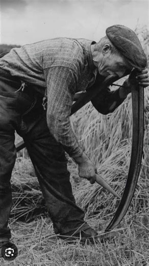 OLD FARMING PHOTOGRAPHS FROM AROUND THE WORLD!!