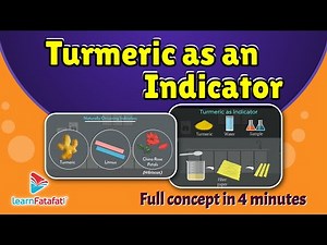 Class 7 Science Acids, Bases and Salts - Turmeric as an Indicator - LearnFatafat