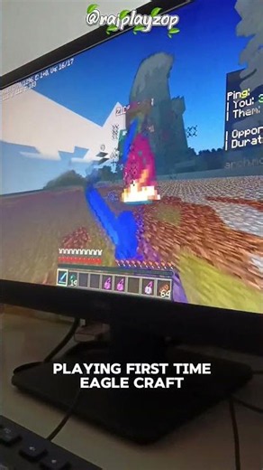 playing Eagle craft