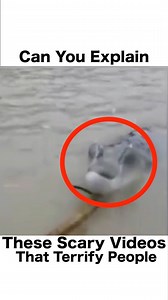 Chills Clips | Follow my personal insta @dylan_is_chillin_yt if you like my narrations! 🔈FAN OF THE DAY goes out to @chazore2 Narrated by:... | Instagram