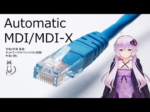 LANポートの自動設定 Auto MDI-Xに関する問題の解説をします。 ケーブルの種別、ポートの設定項目について詳しくお話しします。