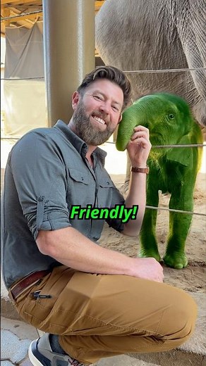 Friendly or Not Friendly?