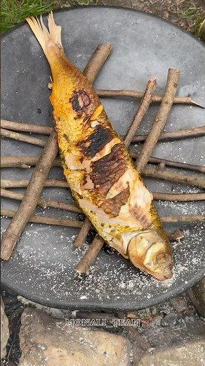 How To Cook Like A Forest Chef In The Wild?