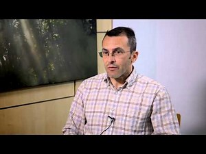 Next Limit Developers