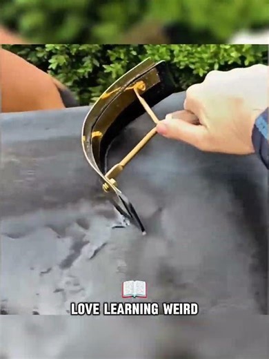 Why Do Horses Turn Into Bubbles?