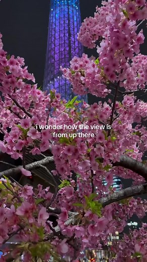 Tokyo Skyline: A Glimpse from the Skytree