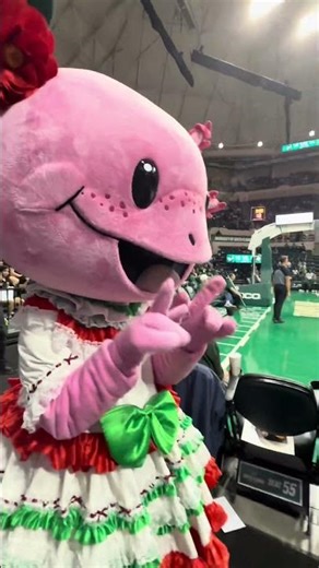 Thousands pack Yuengling as USF women’s basketball hosts annual Education Day