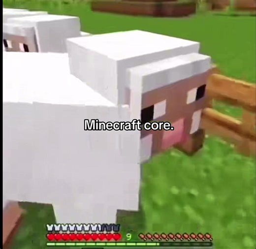 inequality😭 #minecraft #instagram #tiktok #youtube #fyp