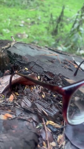 Vintage Polo by Ralph Lauren 1980’s Eyeglass Frames - Etsy