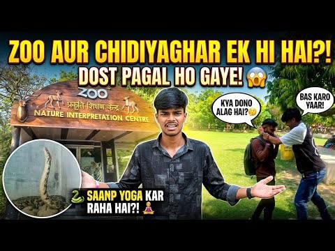 Saanp Ne Kiya YOGA? 🐍 | Funniest Zoo Trip With Friends 🤣
