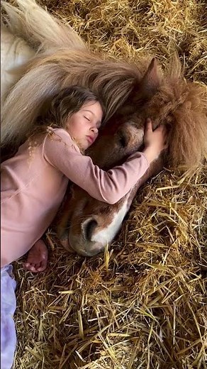 Girl and Horse Take an Adorable Nap Together || ViralHog