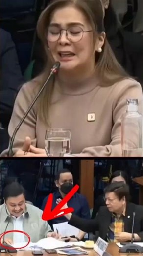 Blue Ribbon hearings = Pinoy meme factory 🇵🇭🔥