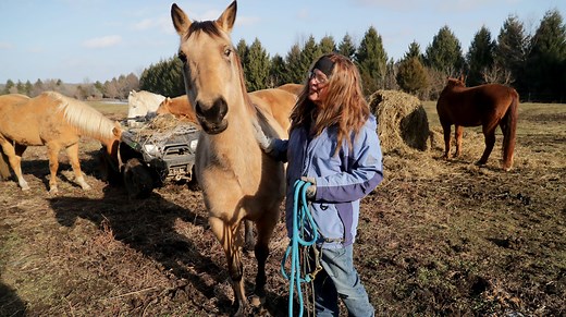 Equine rescue center urgently needs homes for unwanted horses, highlighting nationwide problem