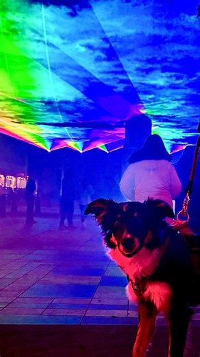 Kerry Lindsay on Instagram: "Prepare for an unforgettable journey through Southport like you’ve never seen before! Experience Lightport, an incredible free event that’s lighting up the heart of Southport! Presented by @visitsouthport Lightport is a vibrant, interactive sound and light installation created by international artists Lucid Creates, transforming a 400-meter stretch of Lord Street into a magical wonderland. It’s here until Monday 16th February – don’t miss out! It’s scattered across 4