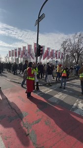 "Novosadski je prelaziti samo na zeleno 🤣 Velika akcija čišćenja je zakazana za 14h" | Serbia Live - Novi Sad