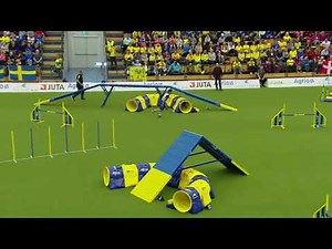 AWC 2018 Large Individual Agility