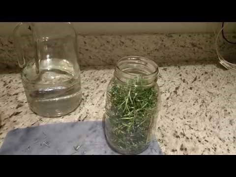 ROSEMARY TINCTURE