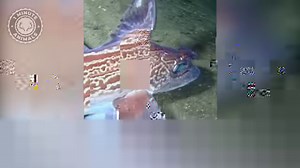 Chimaera 👻 The Terrifying Ghost Shark! | 1 Minute Animals This enigmatic fish, often called the Ghost Shark, it is a mesmerizing creature blurring the line between reality and myth. It's part shark, part ray, and all mystery. Dive into the depths to encounter this captivating marvel in our latest video. #Chimaera #DeepSeaFish #GhostShark #MarineLife #StrangeCreatures | 1 Minute Animals