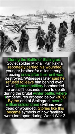 The Soldier Who Carried His Brother Home 💔