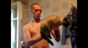 Funny Cat Machine Gun Video | Blow Your Mind