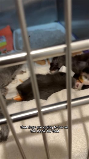 153K views · 4.5K reactions | It’s distressing to read recent data...