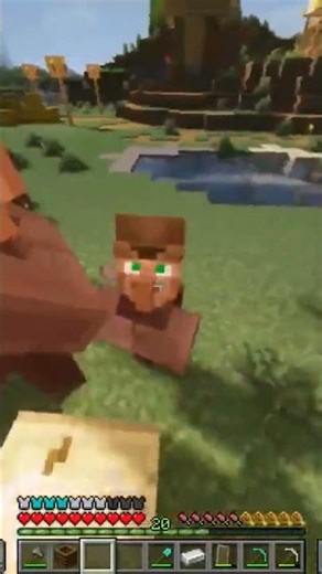 Minecraft Survival Trade