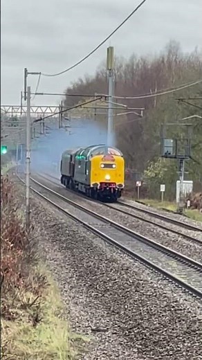 Deltic 55009 thrash and tones