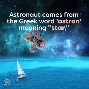Well, this makes sense. ✨💫 | OMGFacts