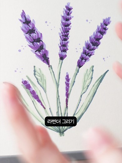 라벤더 그리는 방법 | 라벤더그리기, 라벤더 꽃말, 그림 그리기