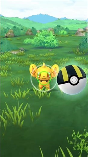 Shiny Shinx at my house!!!!!!!