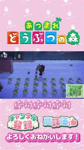 【あつ森】タランチュラ、、、捕獲方法募集ｗ #shorts #animalcrossing