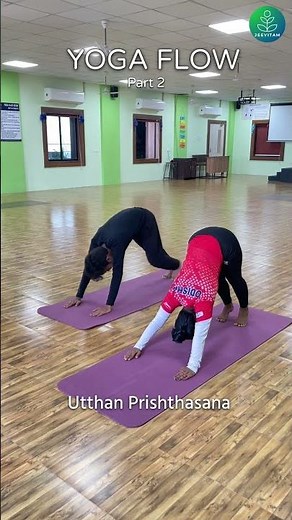 A Short Yoga Flow | Episode 2 | Relax, Stretch & Energize