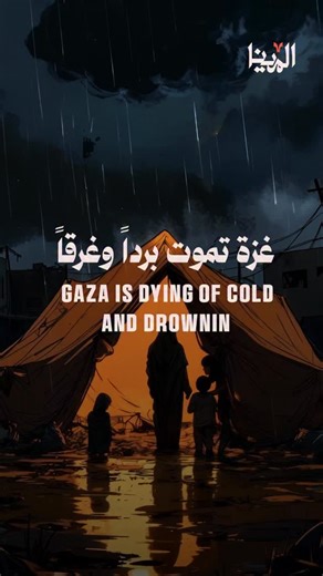‎المينا - Almena‎ on Instagram‎: "⁨ شتاء قاسٍ يفضح جريمة مستمرة… الاحتلال دمّر المنازل، ويمنع إدخال الكرافانات، فتُترك آلاف العائلات في غزة تحت المطر والبرد داخل خيام لا تحمي⁩. A harsh winter exposes an ongoing crime... The occupation destroyed homes, and prevented the entry of caravans, leaving thousands of families in Gaza under rain and cold inside unprotected tents"‎