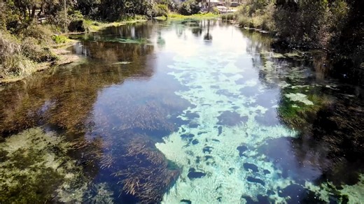 Florida has the largest concentration of springs in the world. There are more than 200 springs within the District. Learn more about springs in our area at Watermatters.org/Springs. | Southwest Florida Water Management District