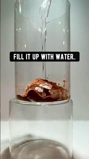 What Plants Need to Grow | creative explained