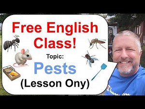 Let's Learn English! Topic: Pests! 🦟🐭🐜 (Lesson Only)