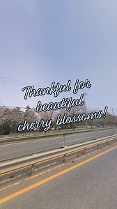 4.7K views · 83 reactions | Jeremy See on Reels | Facebook