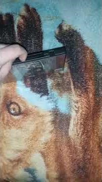 My Snaplock DVD Collection (UPDATED) (Phone version)