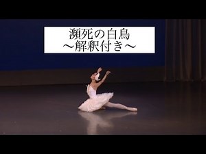 瀕死の白鳥〜解釈付き〜