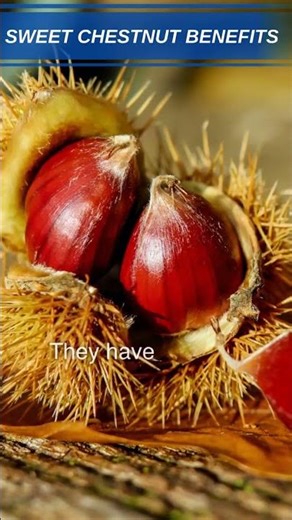 Chestnuts Health Benefits | Why Chestnuts Are a Superfood